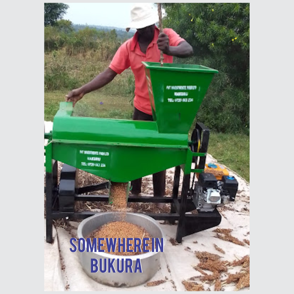 bukura feedback